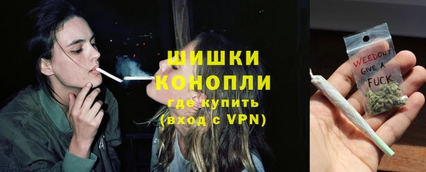 стаф Бронницы