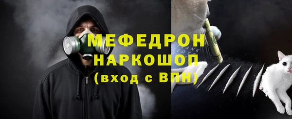 СК Ельня