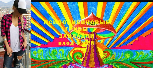 дживик Верея