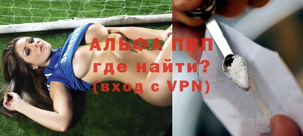дживик Верея